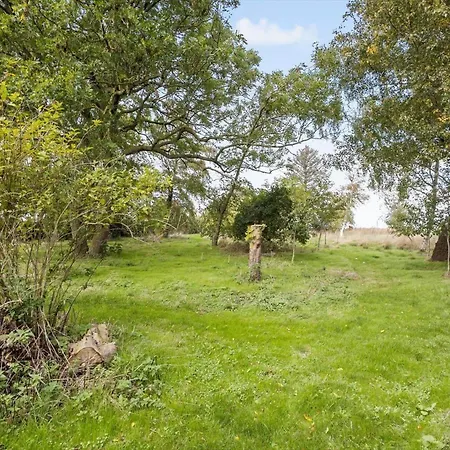 Ae224-aeroskobing-dunkaergade-8 *